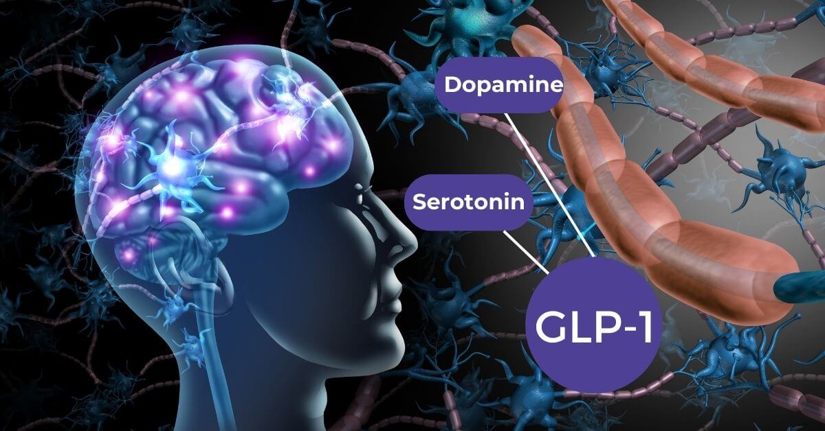 GLP1- Brain